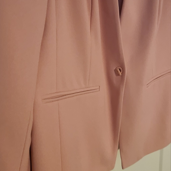 Reitman dusty rose blazer - Picture 3 of 3